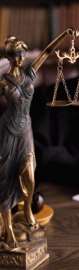 judge not found